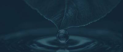 Reflective Growth button